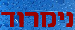 נימרוד דודי שמש